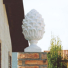 Dennenappel (Pigna) Maxi