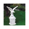 Standbeeld Aquila - Medium Adelaar