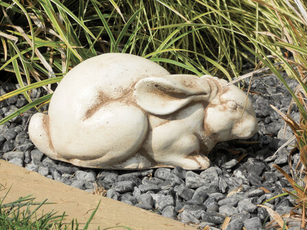 Konijn / Coniglio Frifr&igrave;