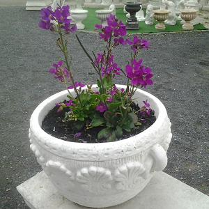 Bloempot Viola