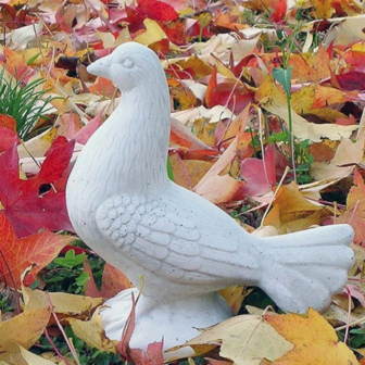 Tuinbeeld Duif