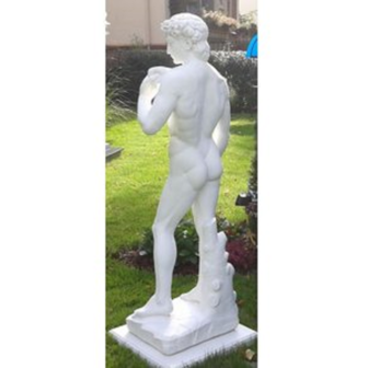 Achterkant Standbeeld David di Michelangelo Groot