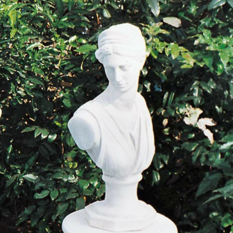 Buste Diana Wit