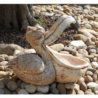 Pellicano - Tuinbeeld Pelikaan