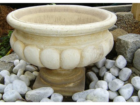 Vaso Crisantemo