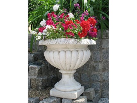 Vaso&nbsp;Campanula Piccolo