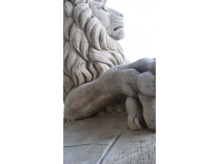 Leeuwenkoppel Colosseo