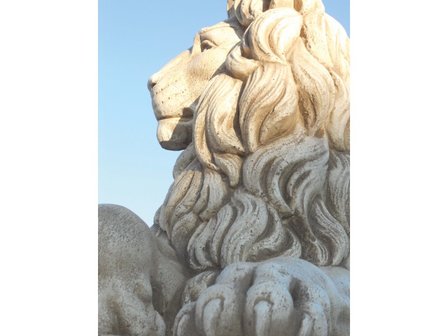 Leeuwenkoppel Colosseo