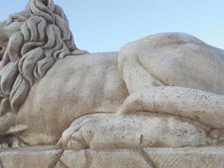 Leeuwenkoppel Colosseo