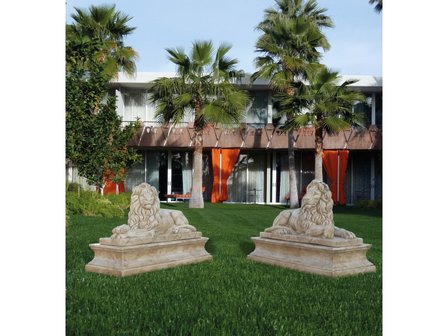 Leeuwenkoppel Colosseo