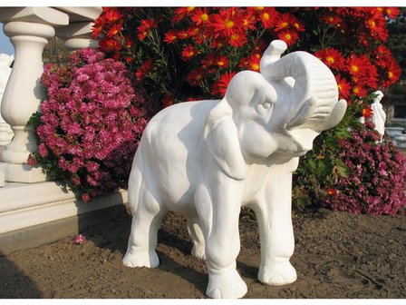 Elefante - Tuinbeeld van een olifant