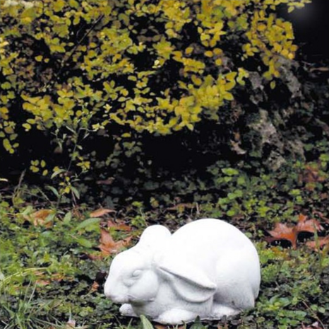 Tuinbeeldje Konijn Frifri