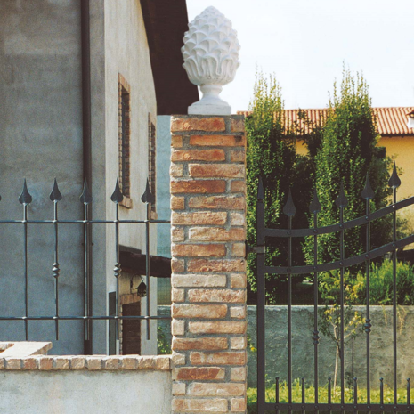 Dennenappel (Pigna) Maxi