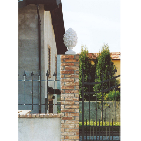 Dennenappel (Pigna) Maxi