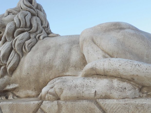 Leeuwenkoppel Colosseo