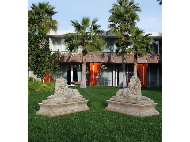 Leeuwenkoppel Colosseo