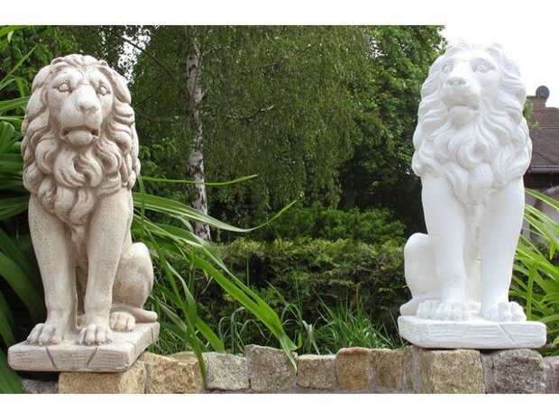 Leeuwenkoppel (Coppia Leone) 