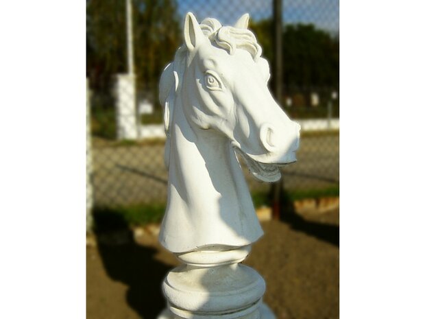 Testa Cavallo - Tuinbeeld Paardenhoofd