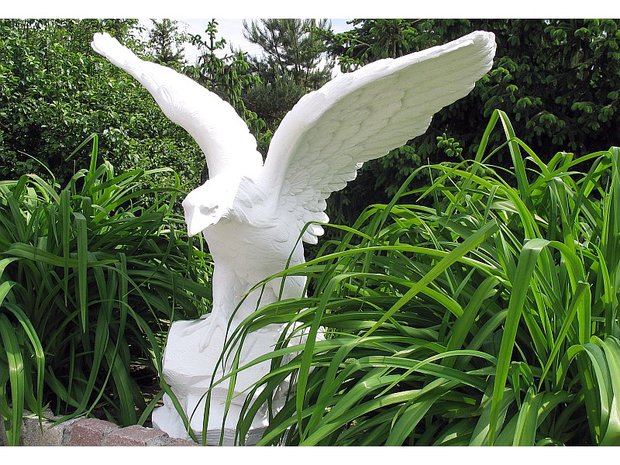 Standbeeld Aquila - Medium Adelaar