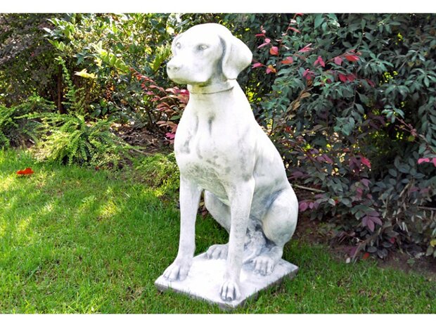 Tuinbeeld Hond - Bracco Italiano