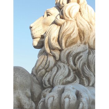 Colosseo H.72cm Liggend Leeuwenkoppel tuinbeeld elegant leeuwenpaar - Art. 605