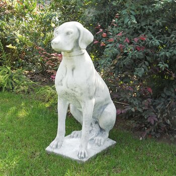Bracco Italiano - H.73cm - Hond - Tuinbeeld - Art. 648