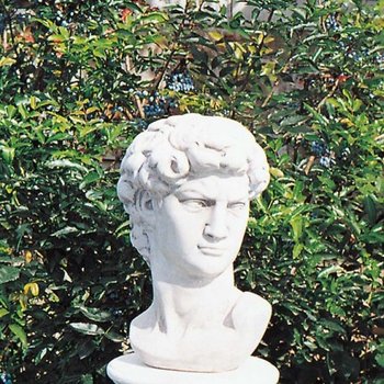 Buste David H.41cm Borstbeeld - Art. 702